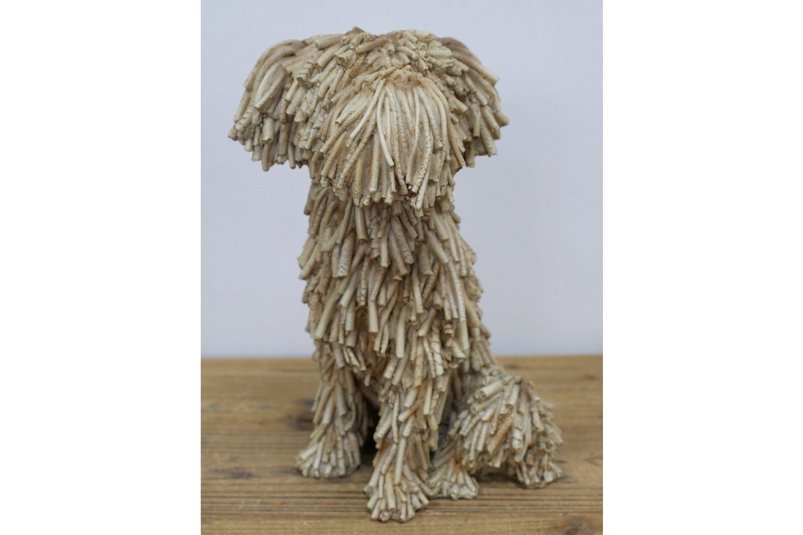 Sitting Shaggy Dog