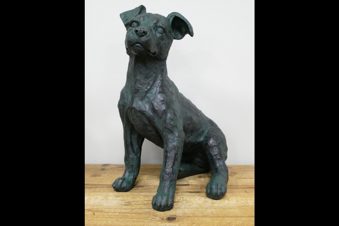 Sitting Dog