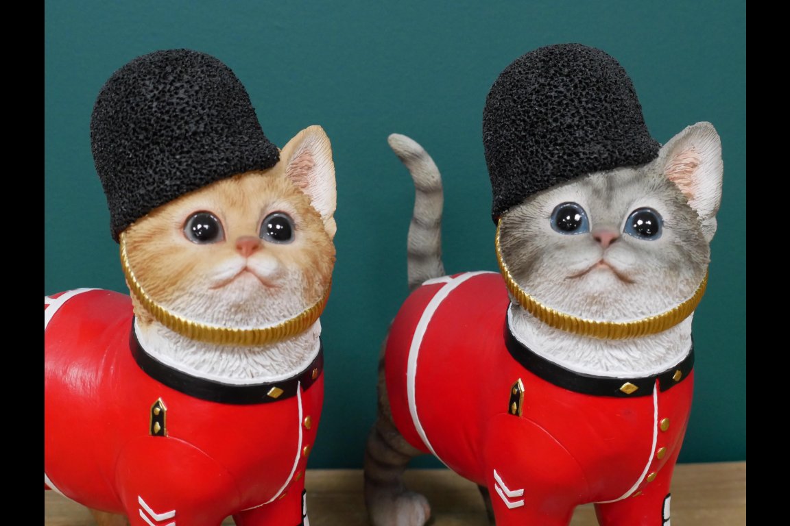 Royal Cat Guard