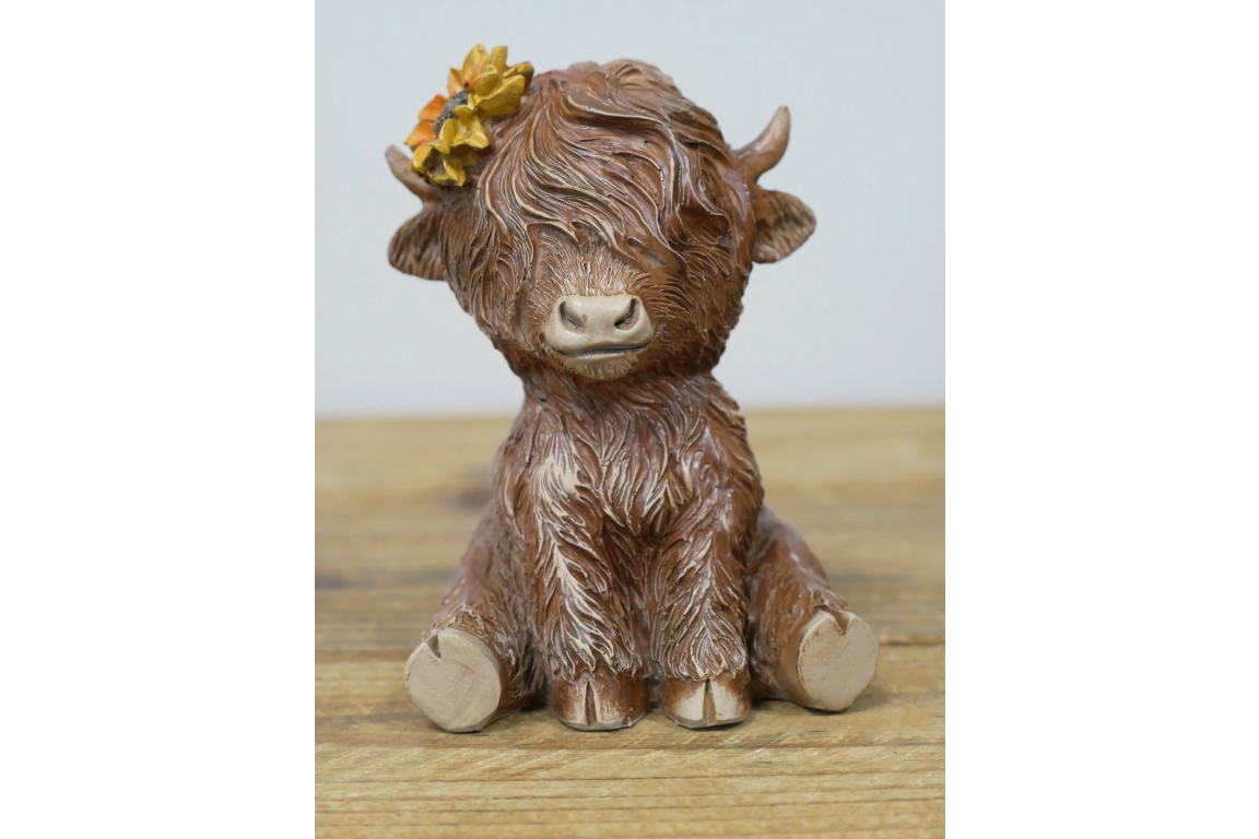 Sitting Highland Cow