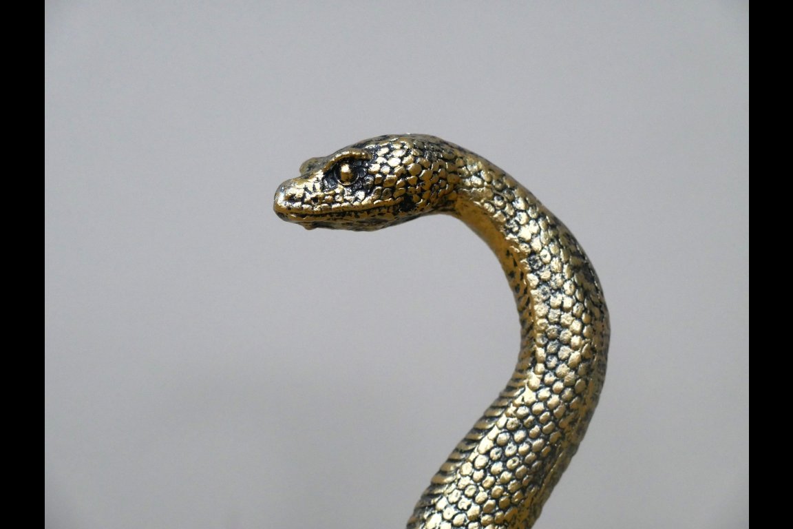 Snake