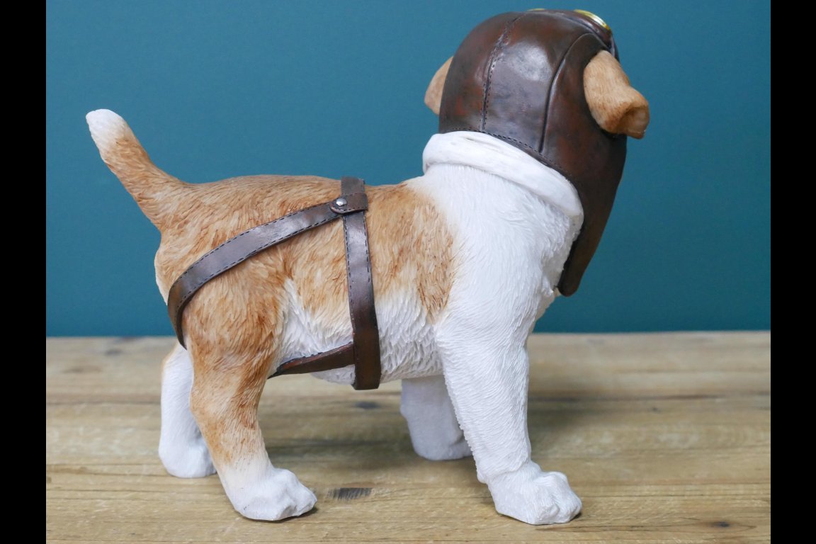 Pilot Dog