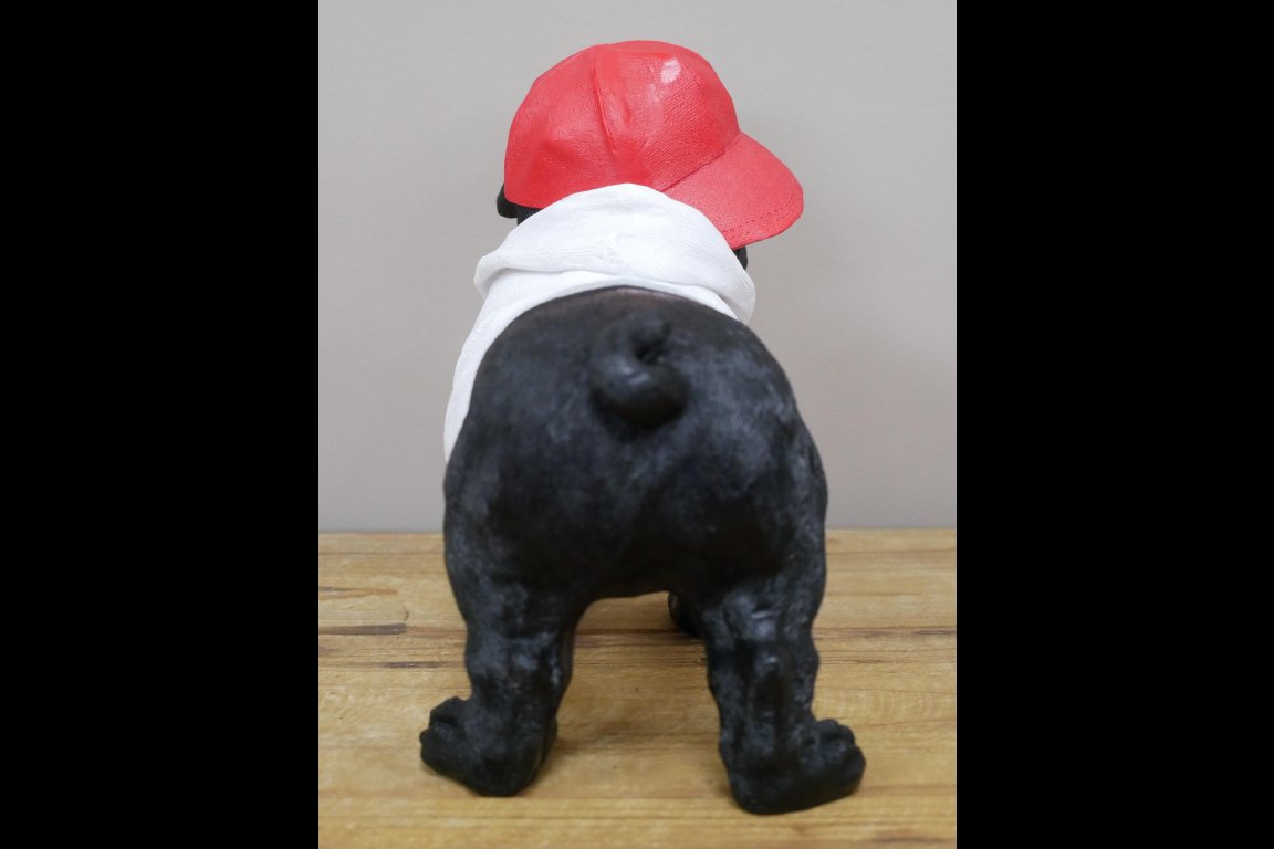 Dog With Cap