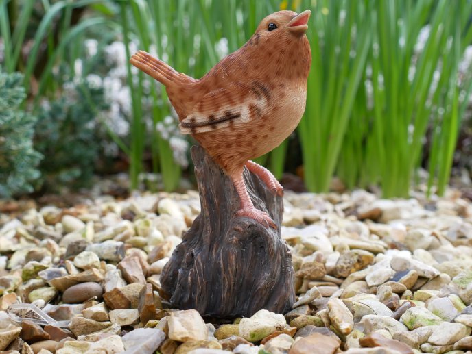 Tweeting Bird