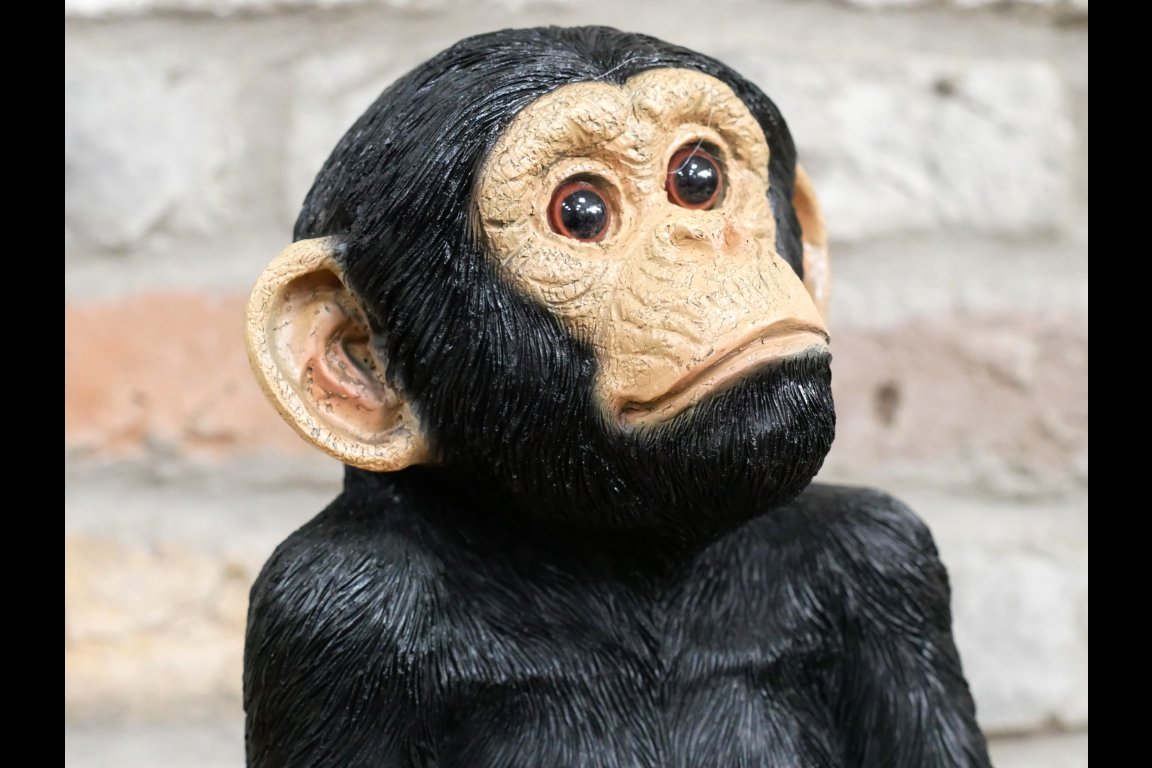 Monkey Sat On Rocks