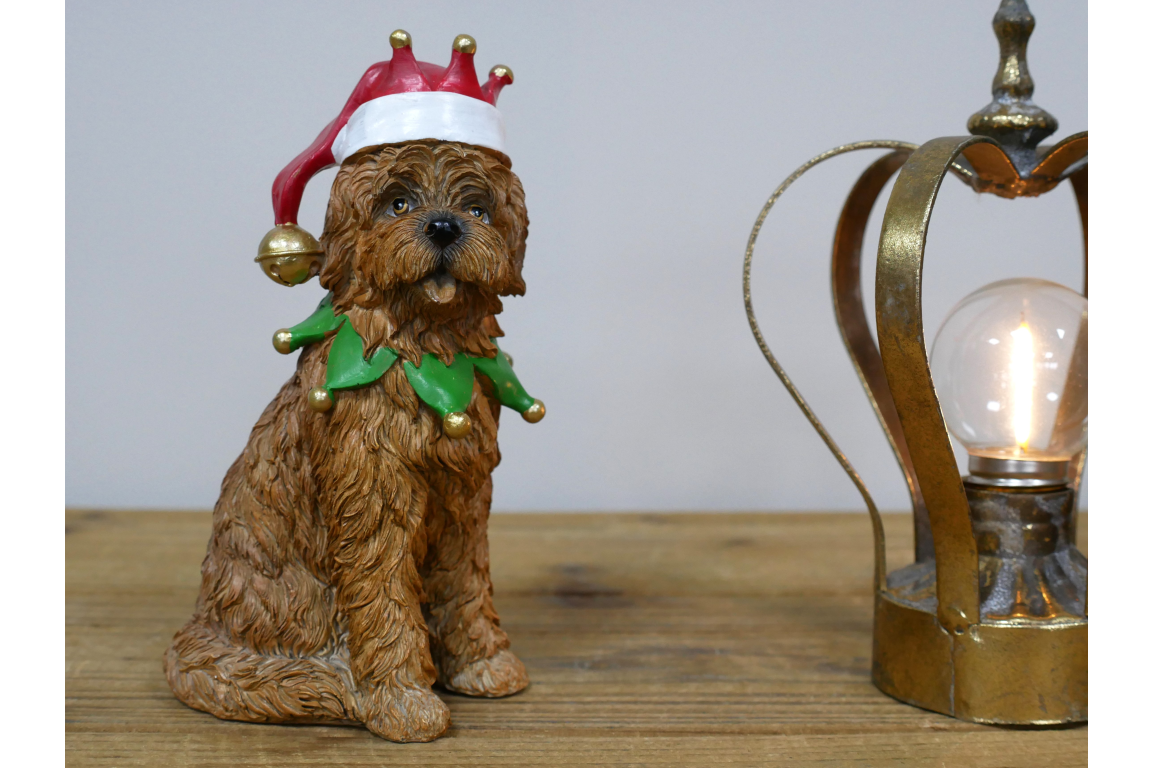 Dog With Christmas Hat