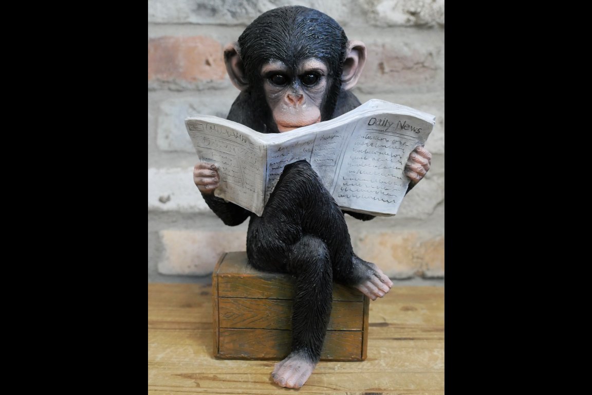 Monkey Reading The News