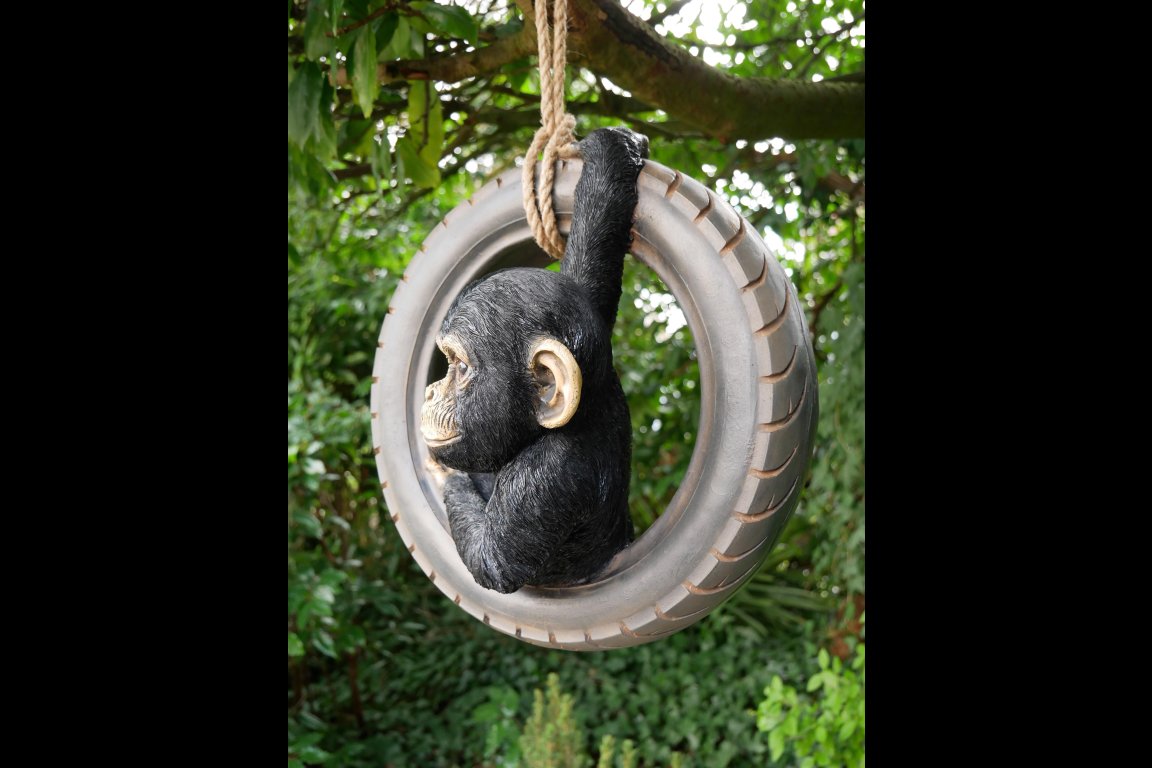 Chimpanzee On Tyre Swing