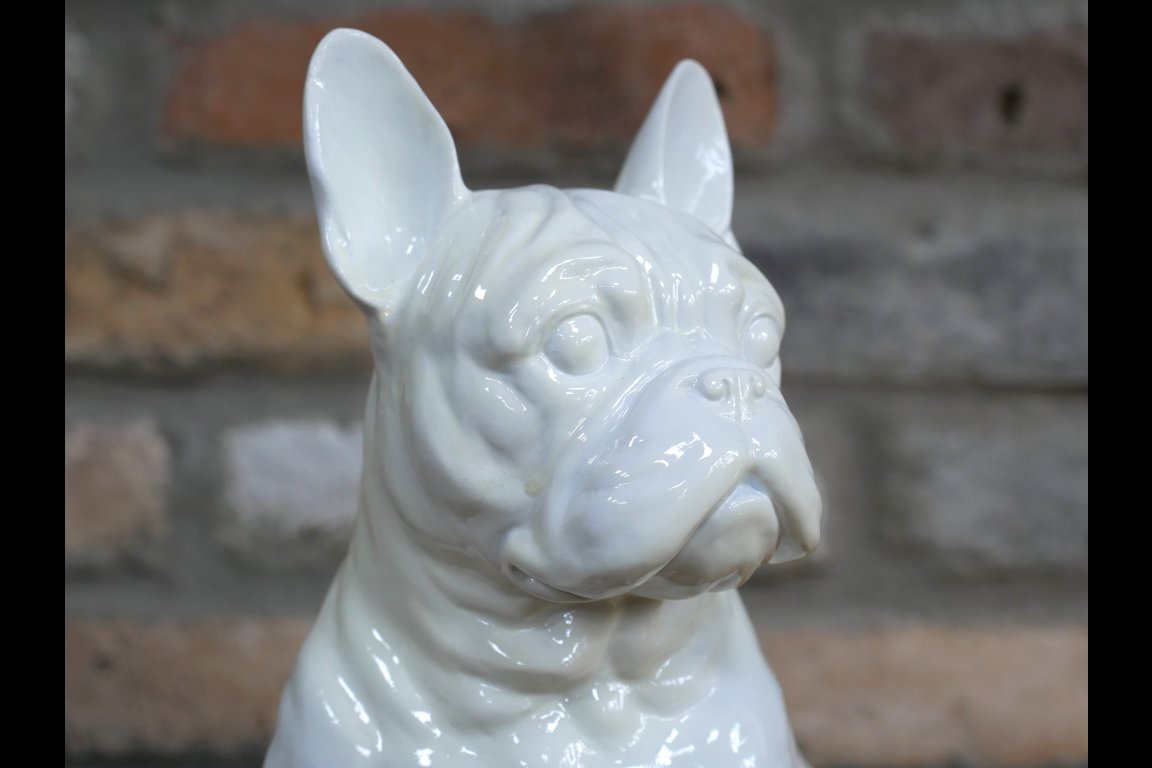 White Dog (Frenchie)