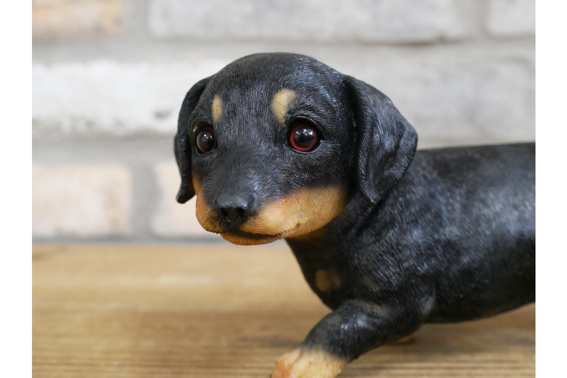 Small Dog