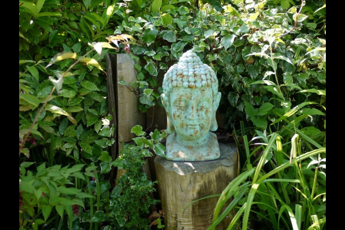 Buddha Head