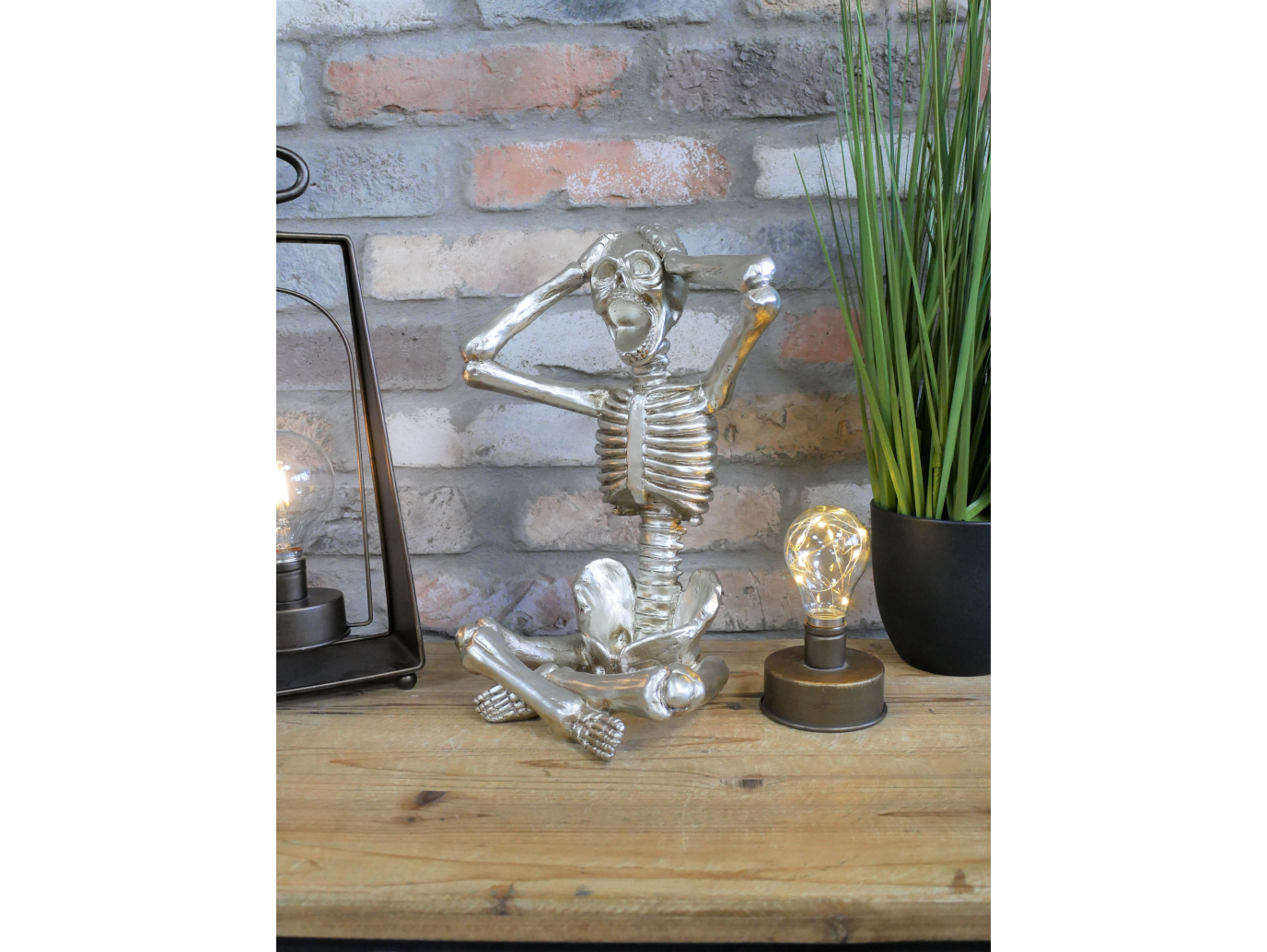Skeleton