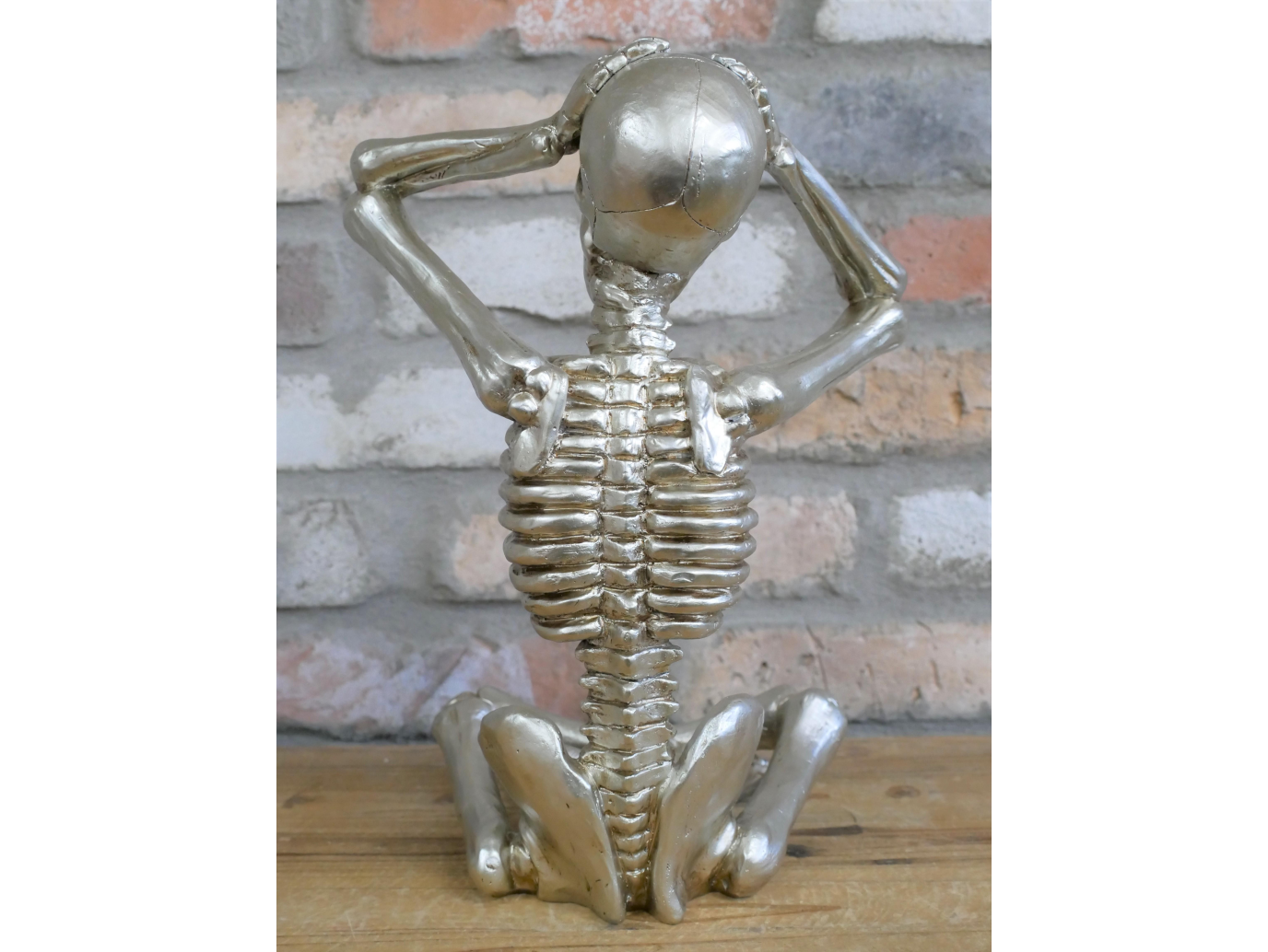 Skeleton