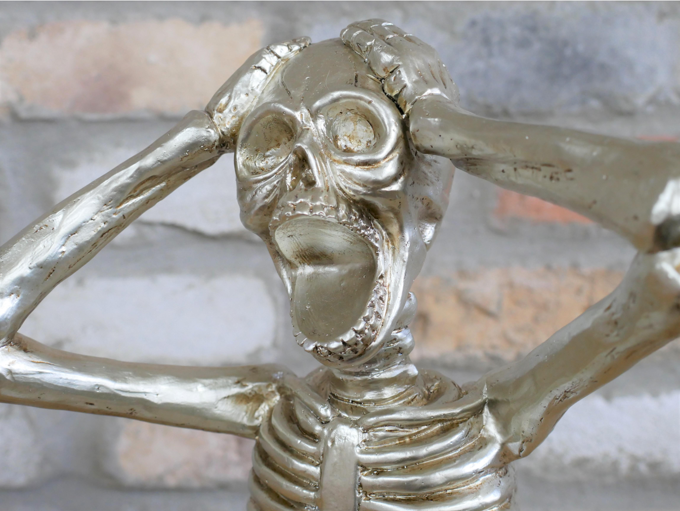 Skeleton