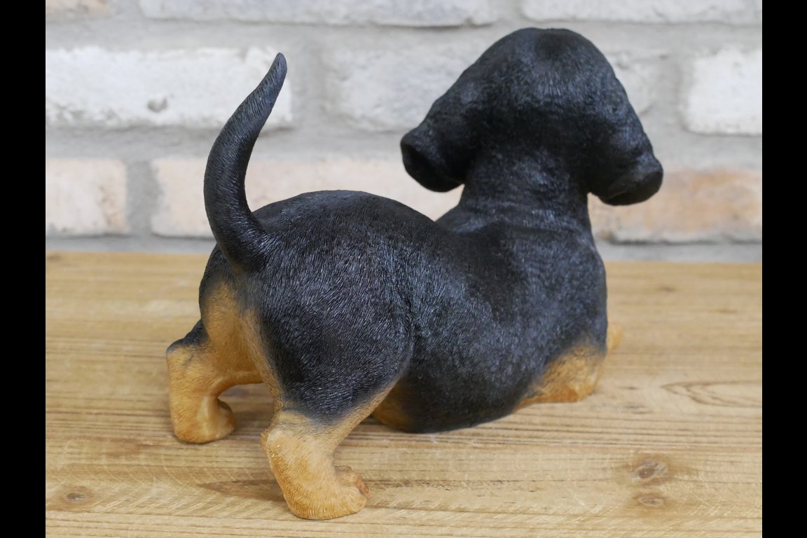 Playful Puppy