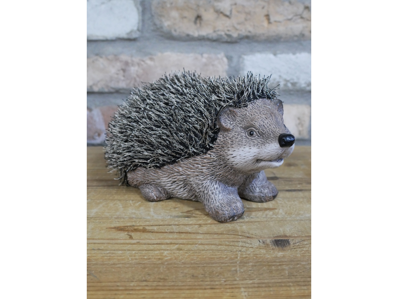 Hedgehog