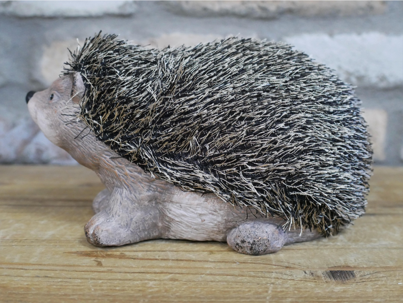 Hedgehog