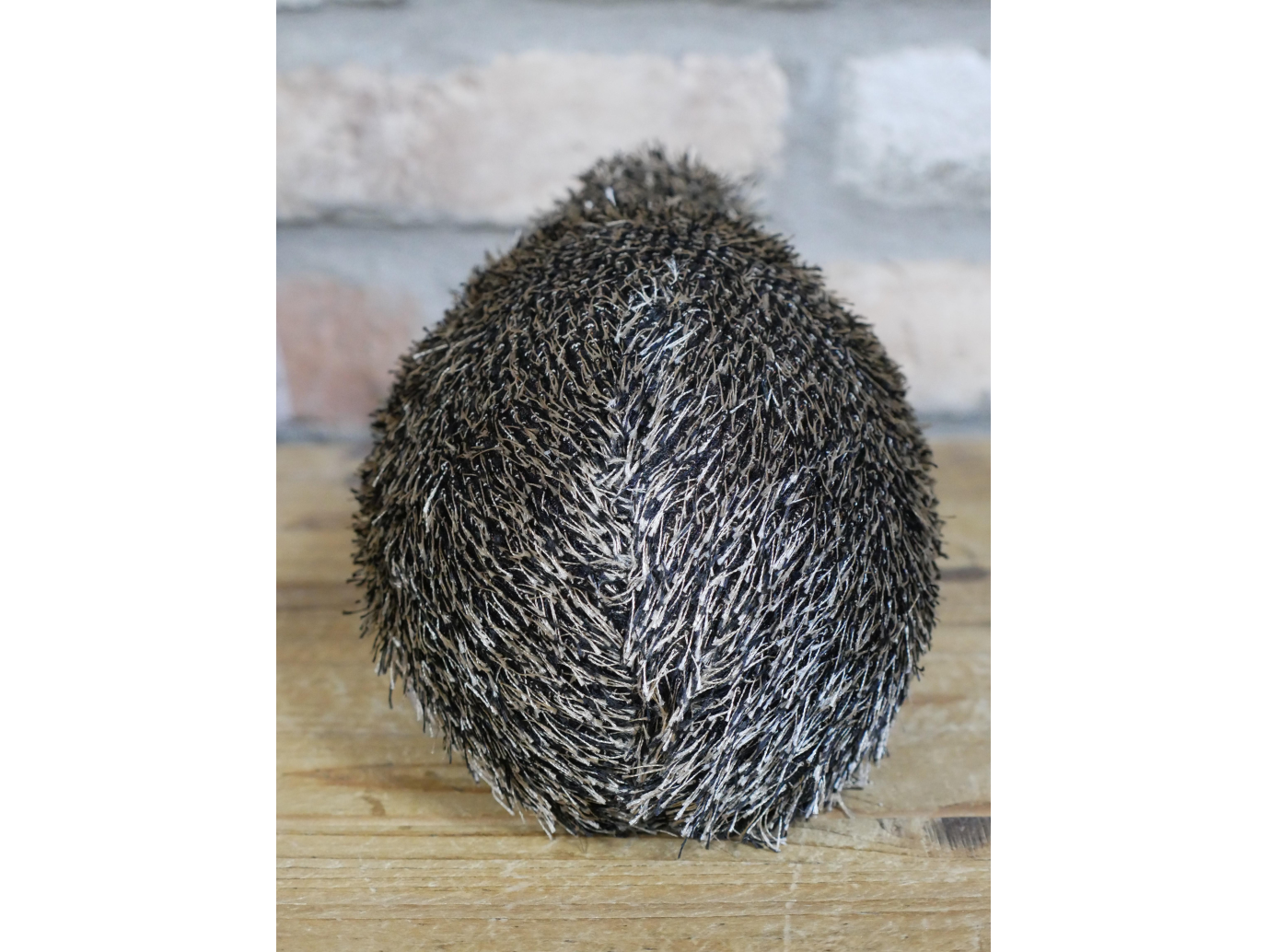 Hedgehog