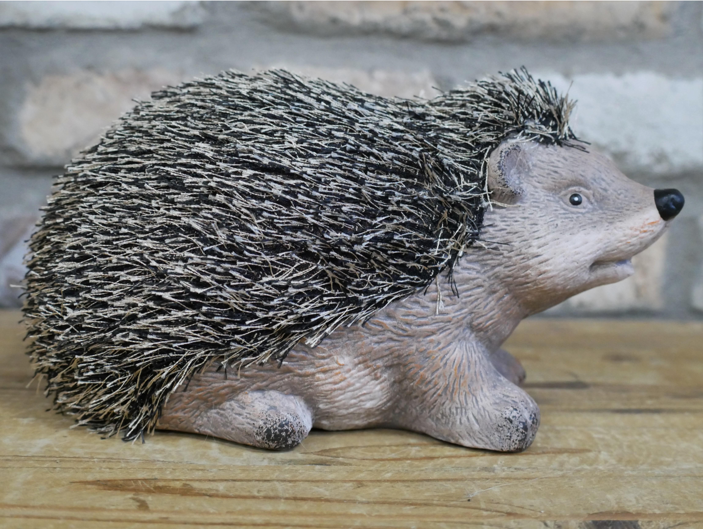 Hedgehog