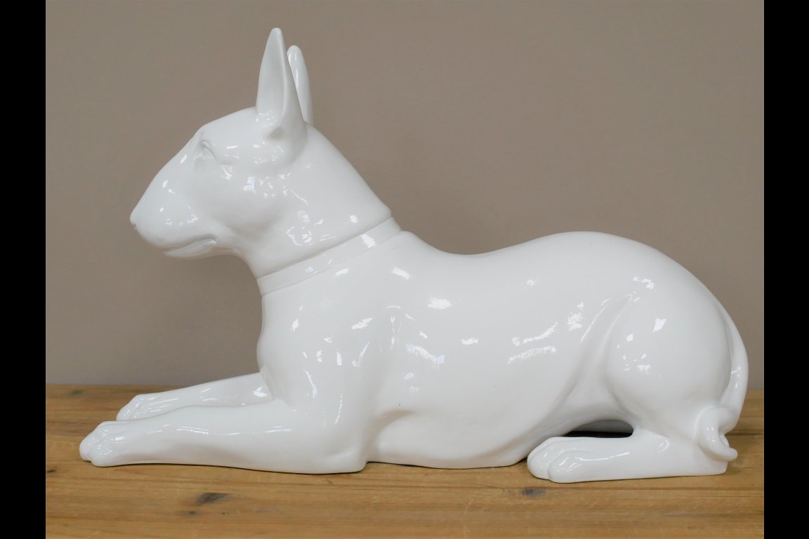 White Dog
