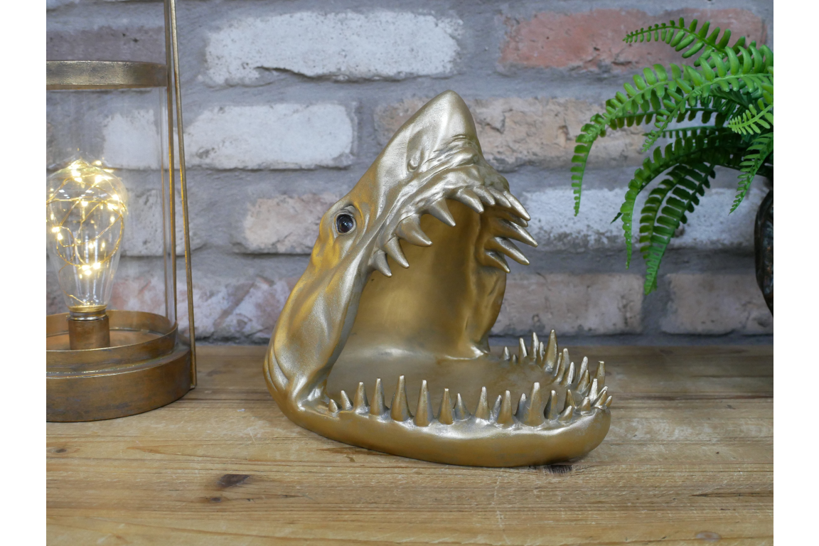 Shark Dish