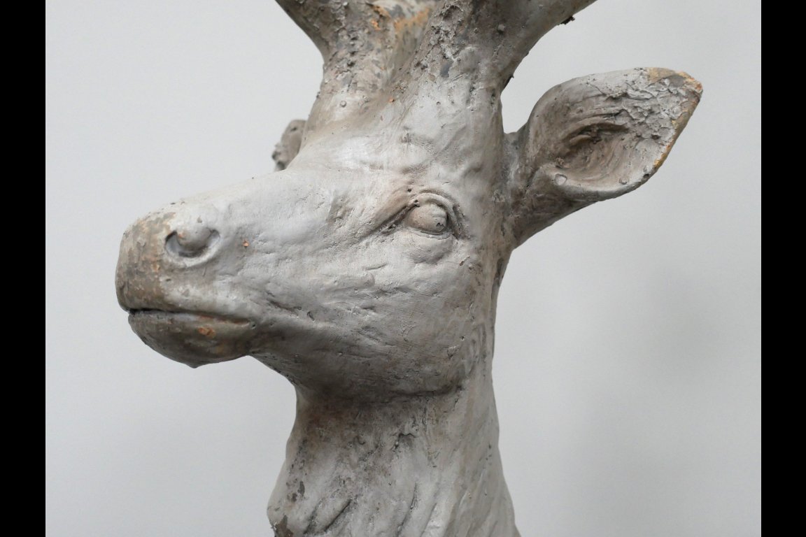 Standing Stag