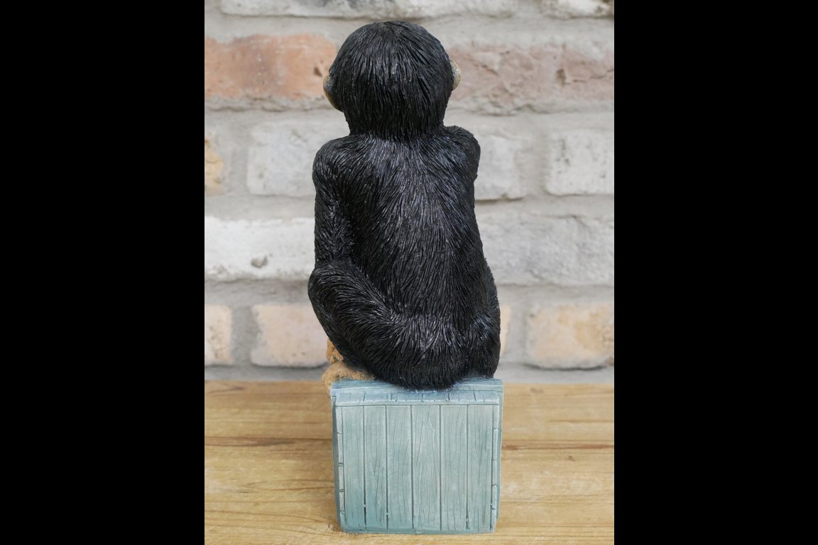 Drunken Monkey