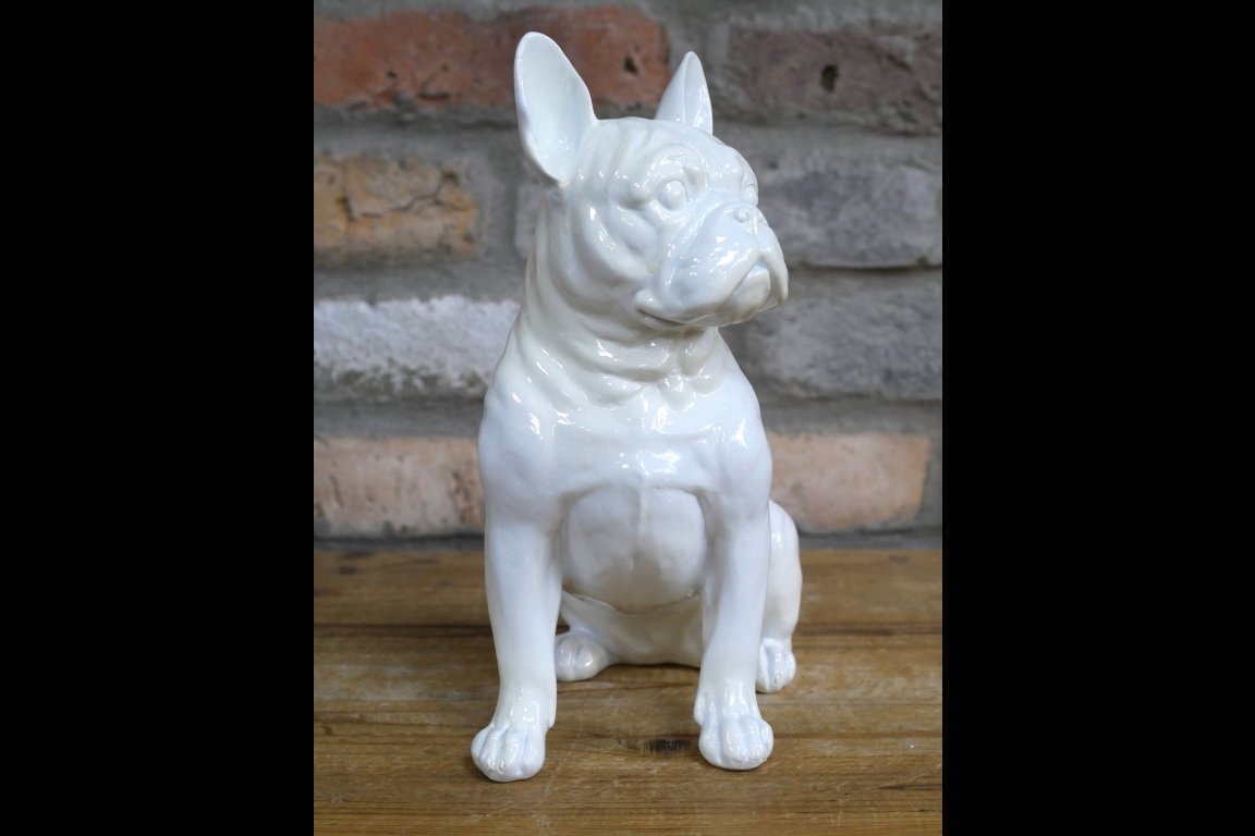White Dog (Frenchie)