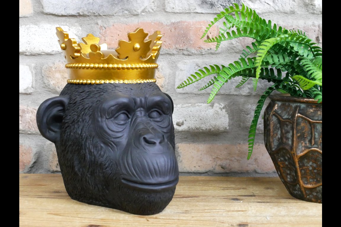 Gorilla Head With Crown