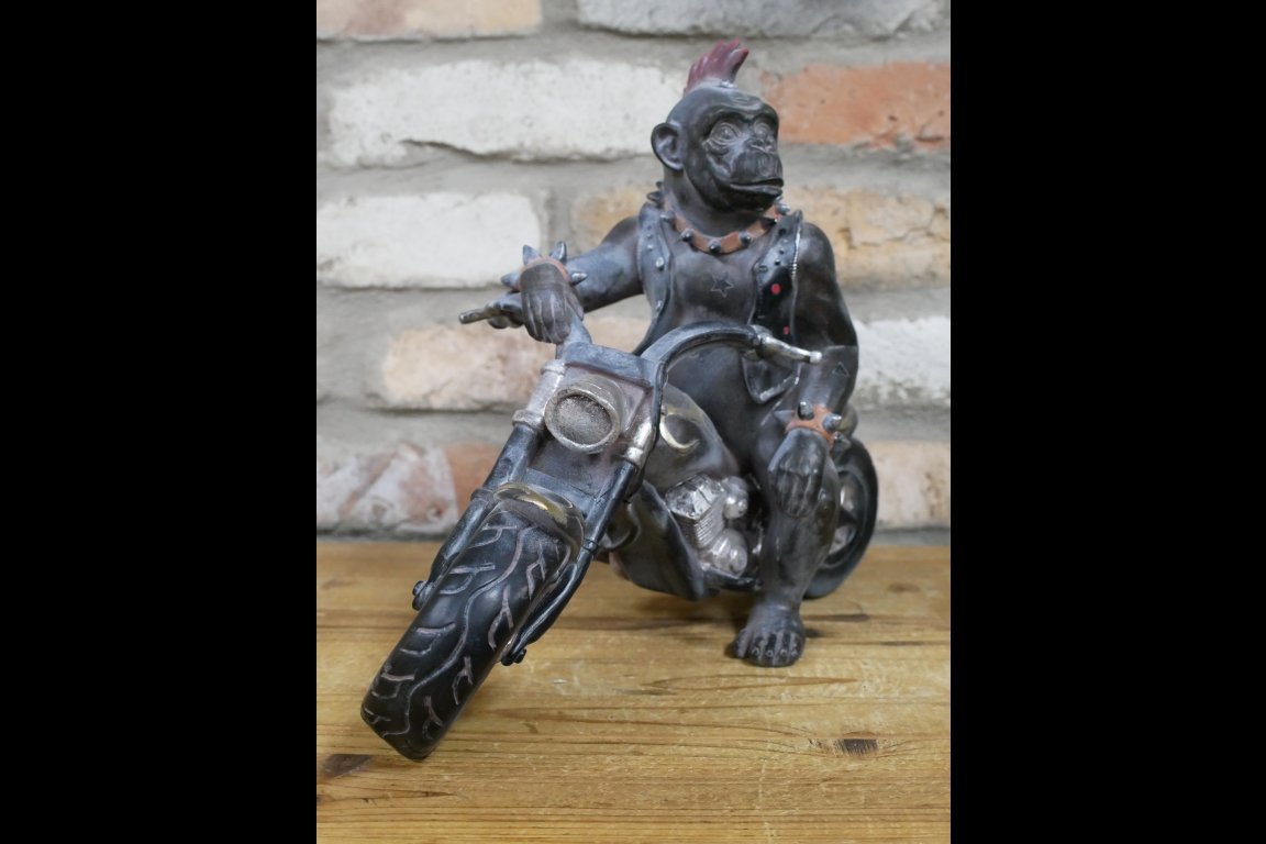 Monkey On Motorbike