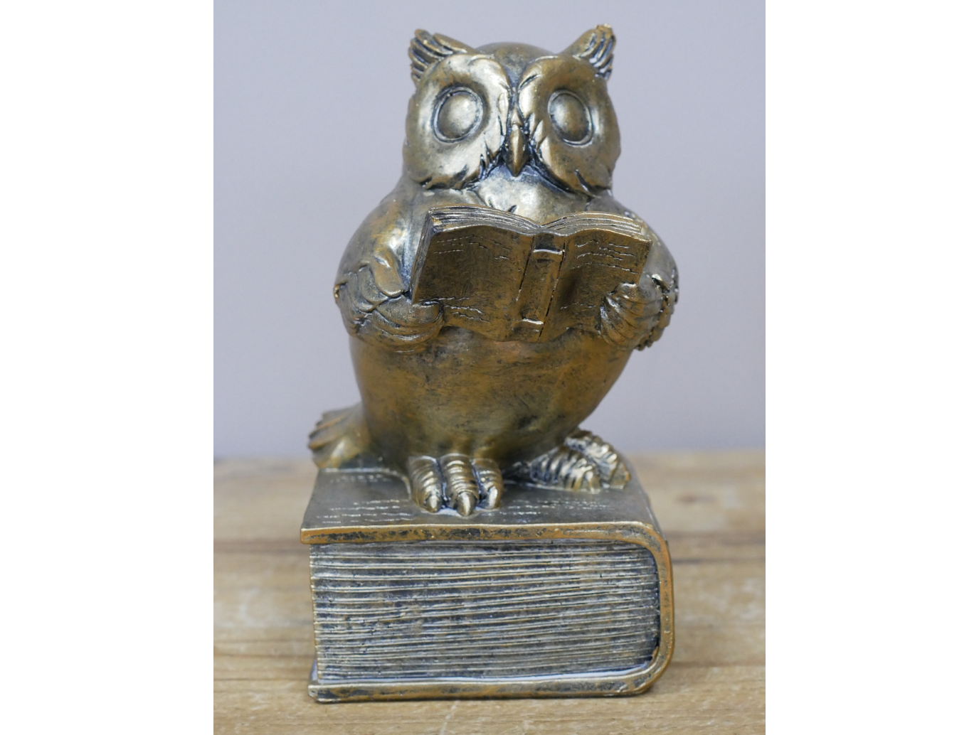 Reading Owl
