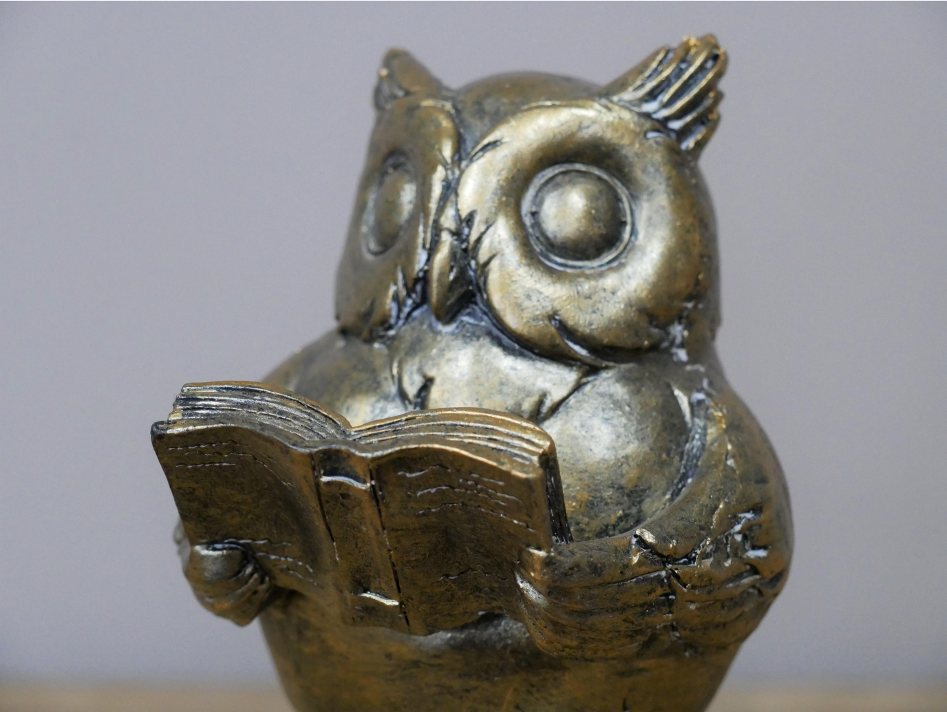 Reading Owl