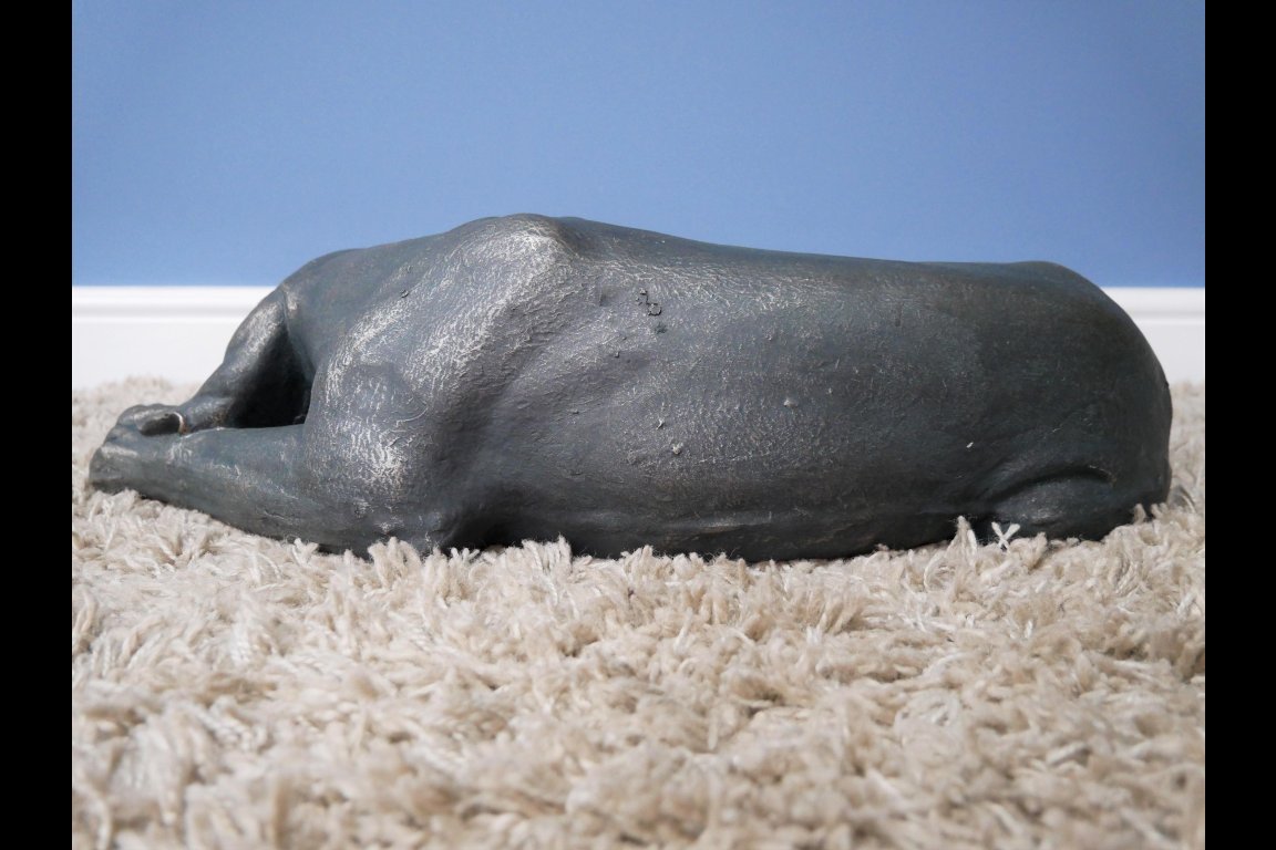 Laying Dog