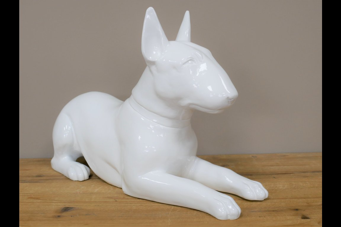 White Dog