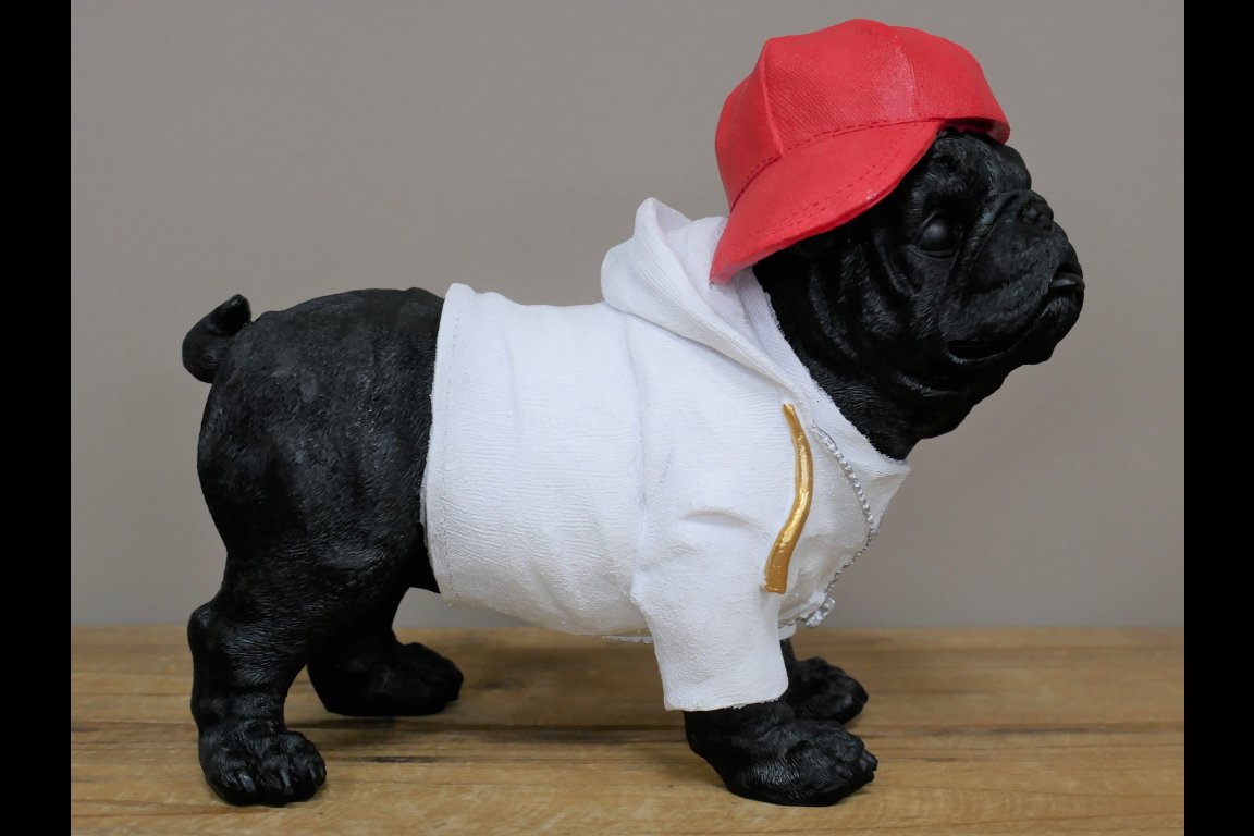 Dog With Cap