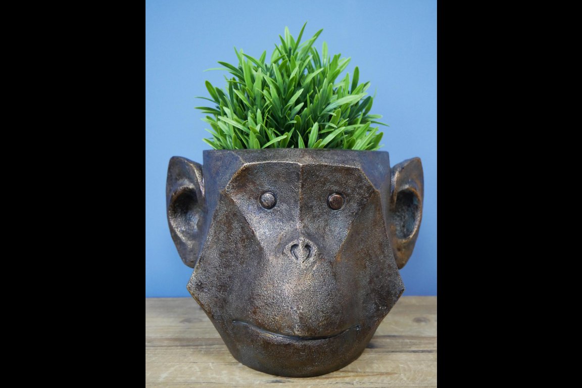 Monkey Head Planter
