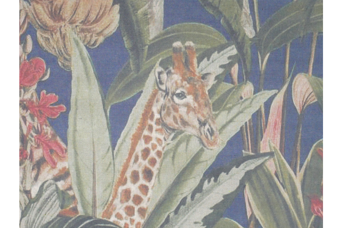 Wall Art - Giraffe