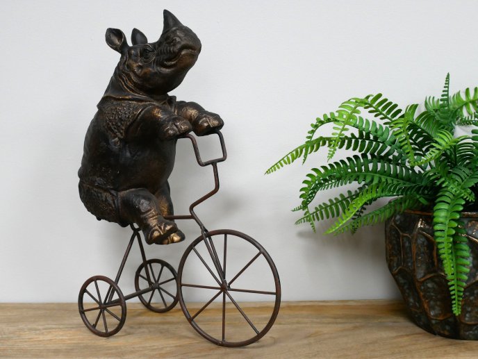 Rhino On Tricycle