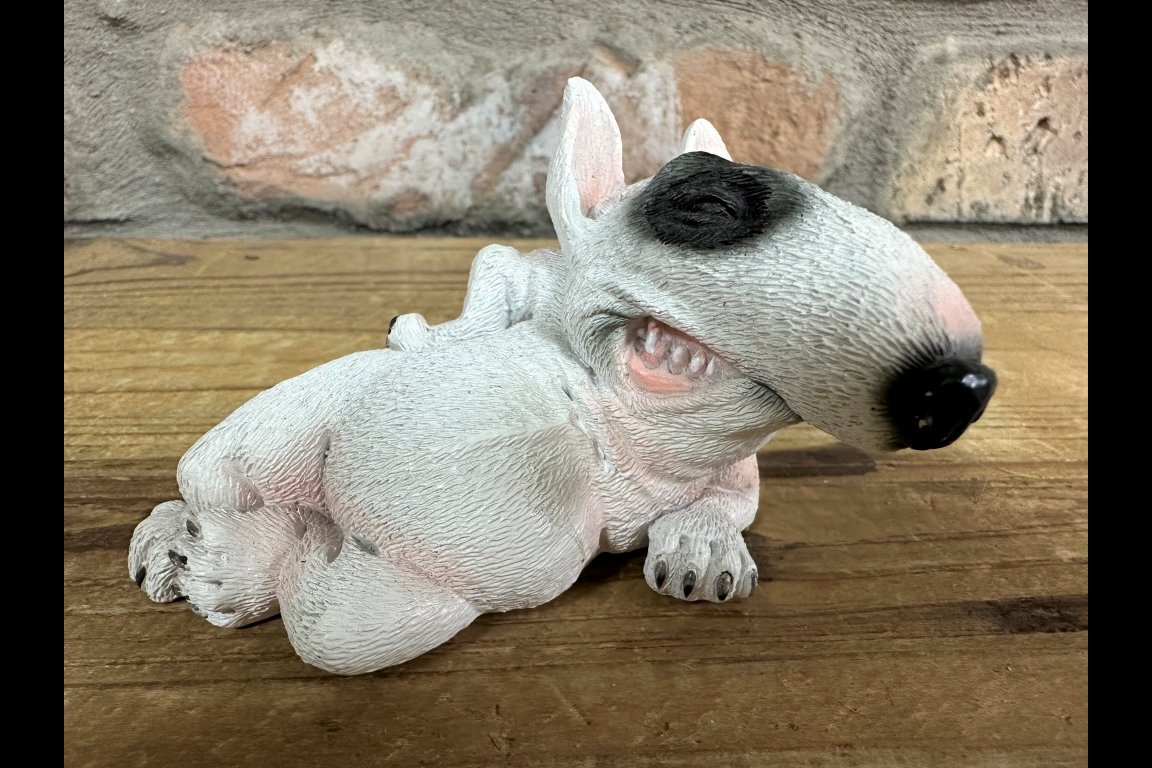 Smirking Dog