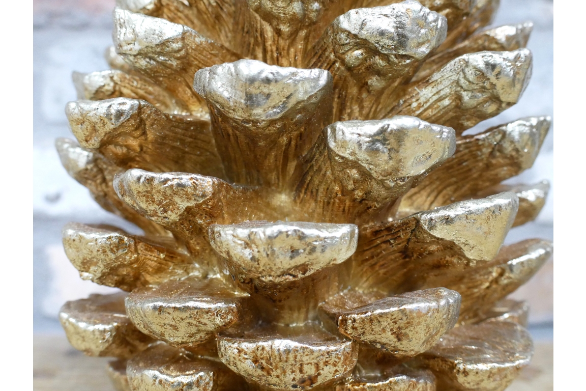 Giant Pinecone