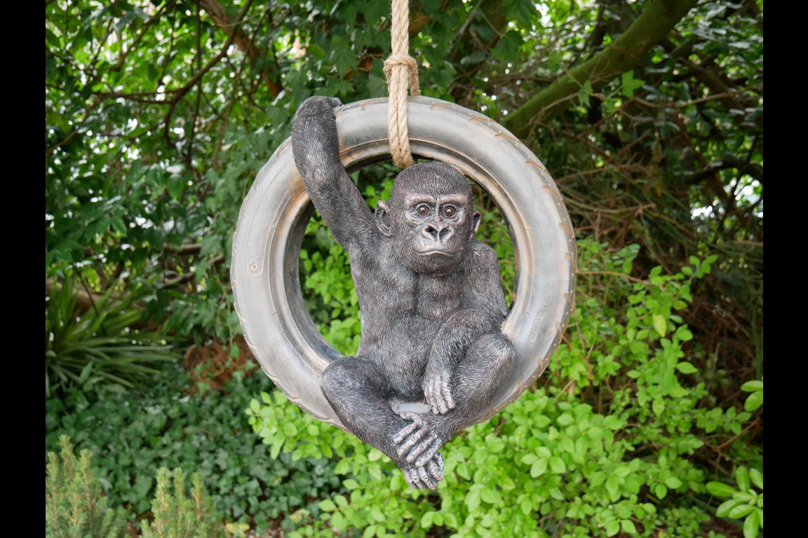 Gorilla On Tyre Swing