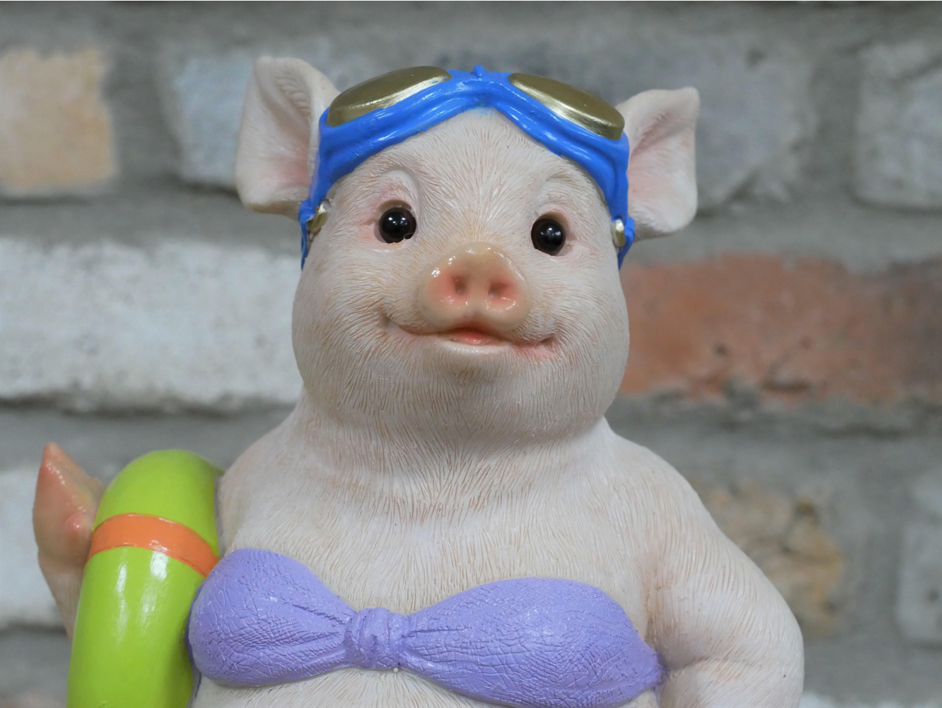 Pig With Ring