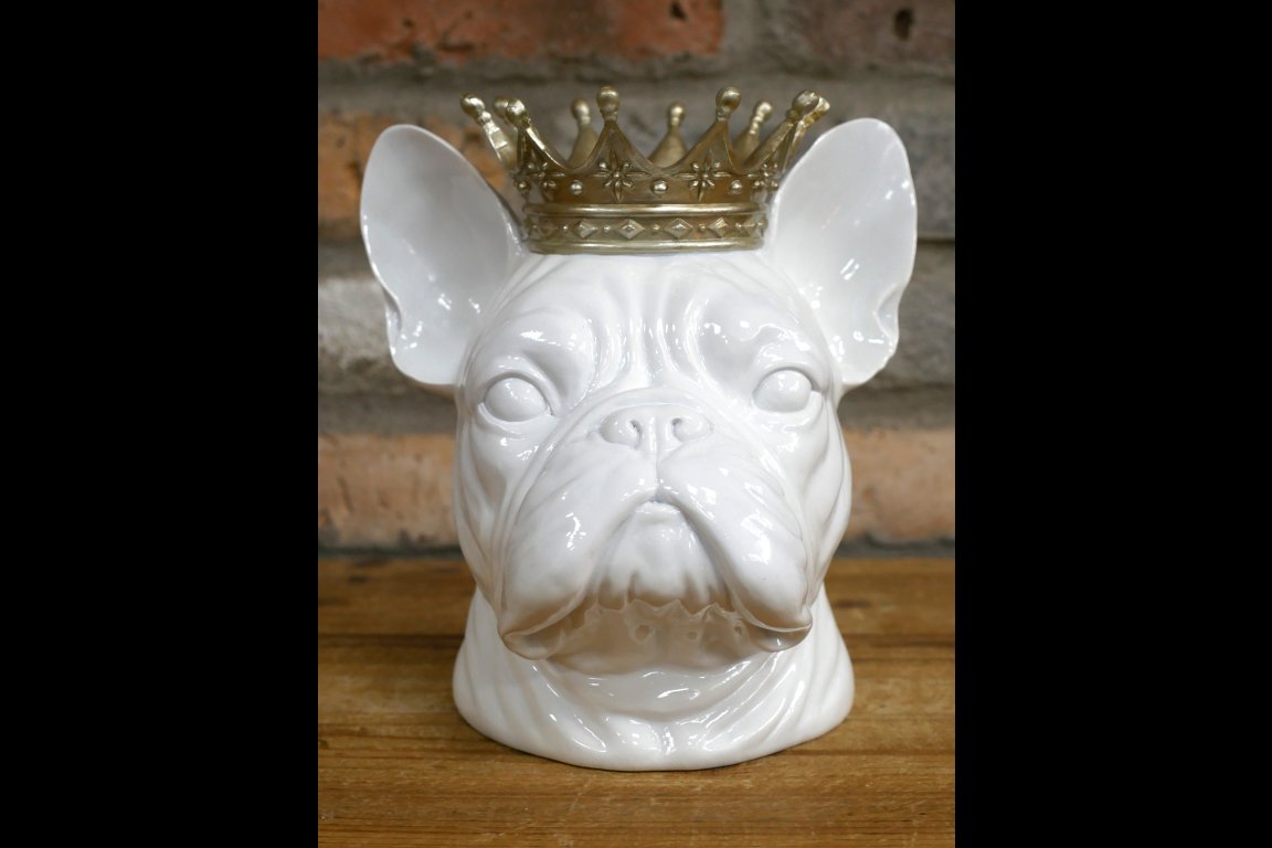 Frenchie With Crown