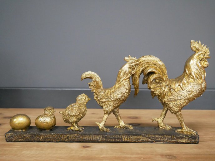 Chicken Evolution