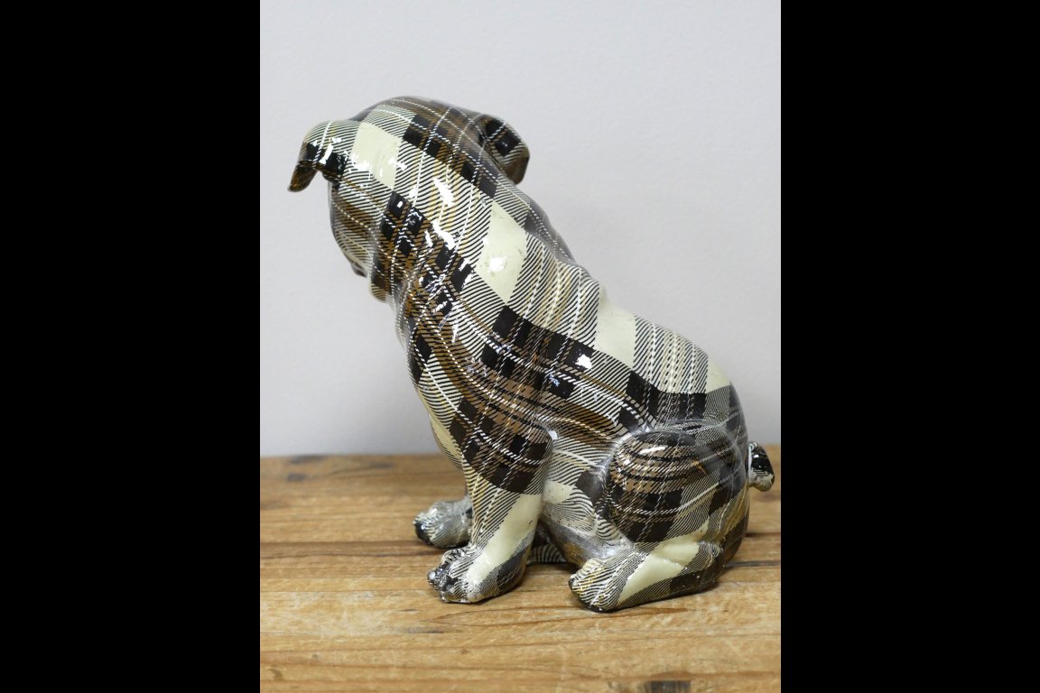 Tartan Dog