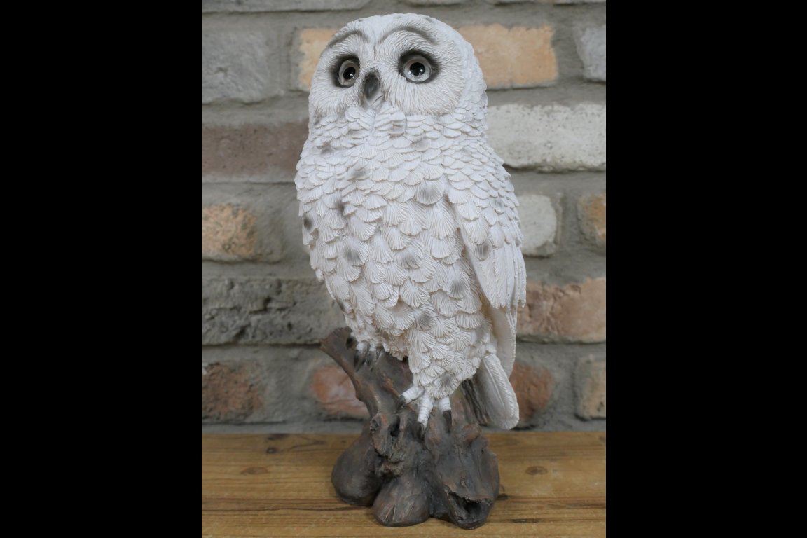 Solar Owl
