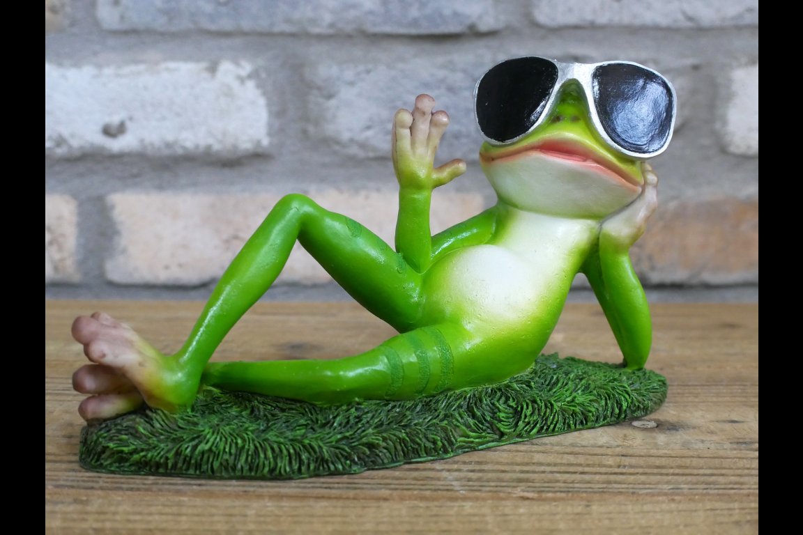 Chilling Frog