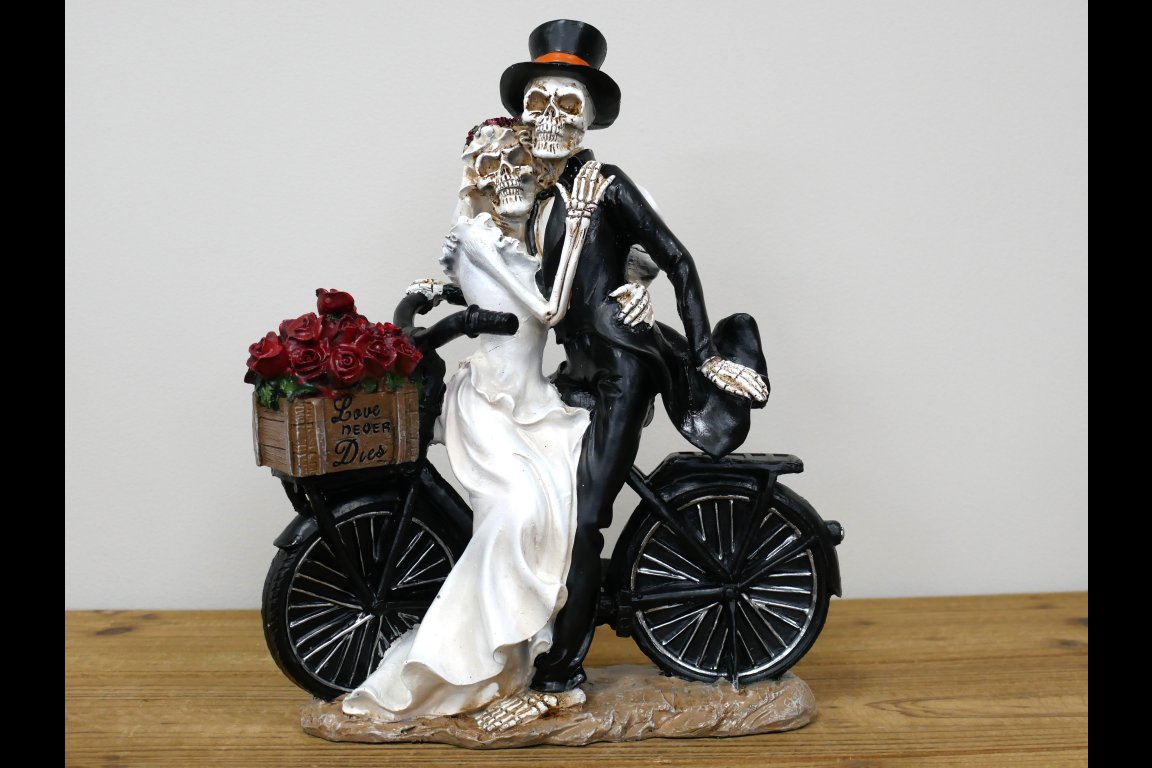 Skeletons On Bike