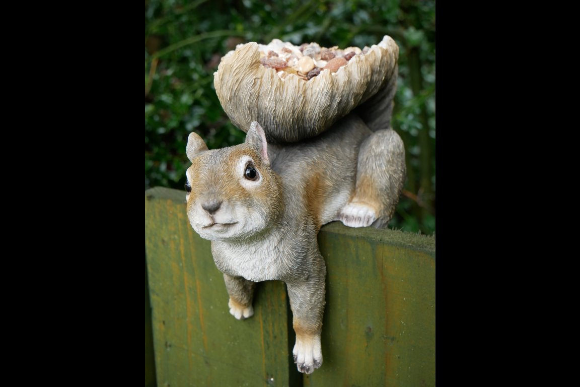Squirrel Feeder