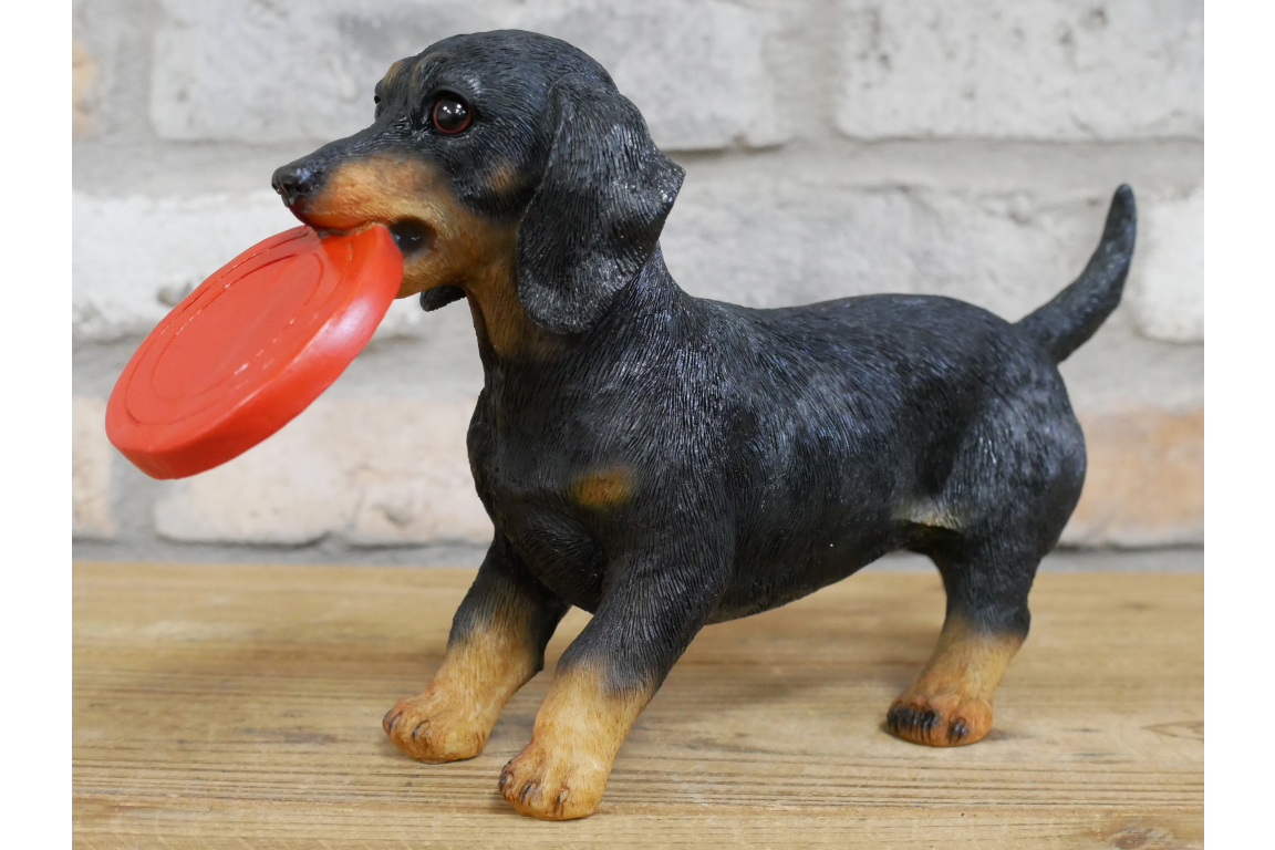 Dog Carrying Frisbee